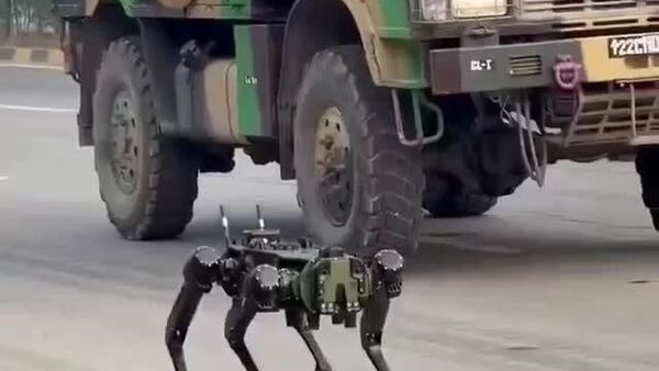 L'armée indienne dévoile des chiens robots conçus pour travailler dans des conditions dangereuses - Sputnik Afrique