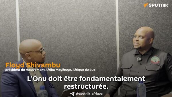 Réformer l'Onu en renforçant la position du Sud est essentiel pour contrer les actions US, selon un homme politique sud-africain - Sputnik Afrique