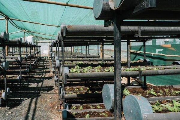 Le Premier ministre éthiopien inaugure un village modèle pour 150 familles - Sputnik Afrique