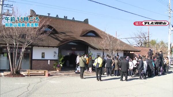 Une tradition ronronnante: un chat nommé chef de gare au Japon - Sputnik Afrique