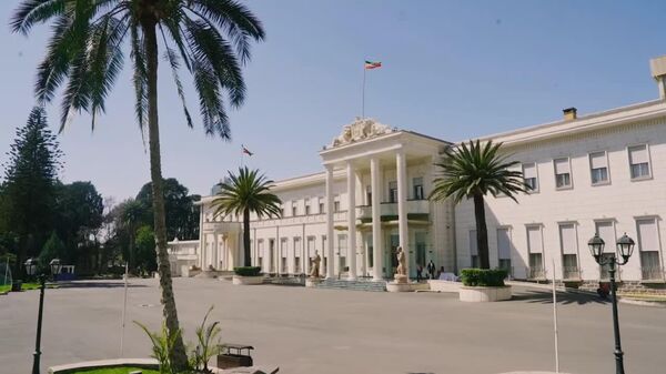 Ethiopian PM Abiy Receives Chinese Foreign Minister at the National Palace, Says Office - Sputnik Africa