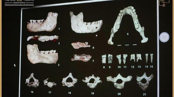 Major Discovery in Morocco: Fossils Strengthen Africa's Role as Humanity's Cradle, Says Ministry - Sputnik Africa
