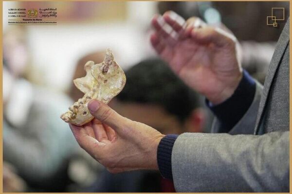 Major Discovery in Morocco: Fossils Strengthen Africa's Role as Humanity's Cradle, Says Ministry - Sputnik Africa