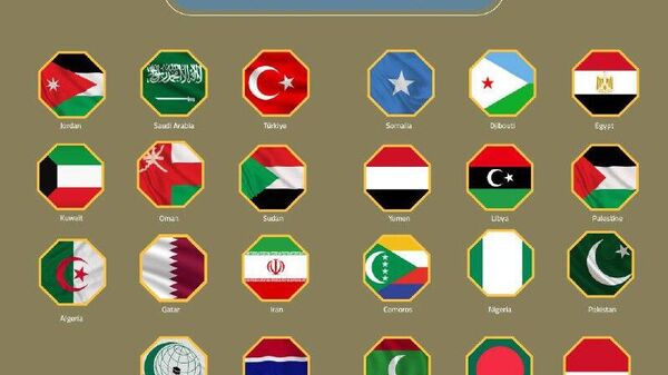 Over 20 Nations Led by Arab & Islamic States Condemn Israeli FM's Unauthorized Visit to Somaliland: MFA Over 20 Nations Led by Arab & Islamic States Condemn Israeli FM's Unauthorized Visit to Somaliland: MFA - Sputnik Africa