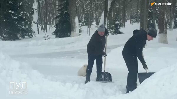 #viral | Nothing Special — Just President, His Son, and Four-Legged Helper Fighting Snowdrifts #viral | Nothing Special — Just President, His Son, and Four-Legged Helper Fighting Snowdrifts - Sputnik Africa