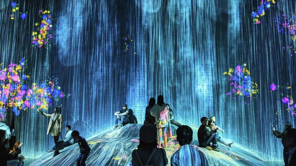 Du numérique, image d'illustration - Sputnik Afrique