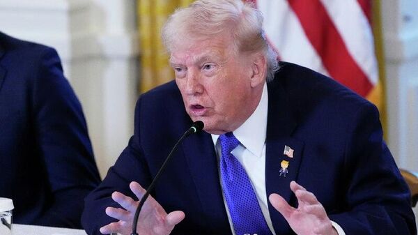 Trump Warns of New US Strikes in Nigeria Over Alleged Christian Persecution - Sputnik Africa