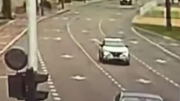 #viral | Massive Tree Topples Directly in Front of Moving Car - Sputnik Africa