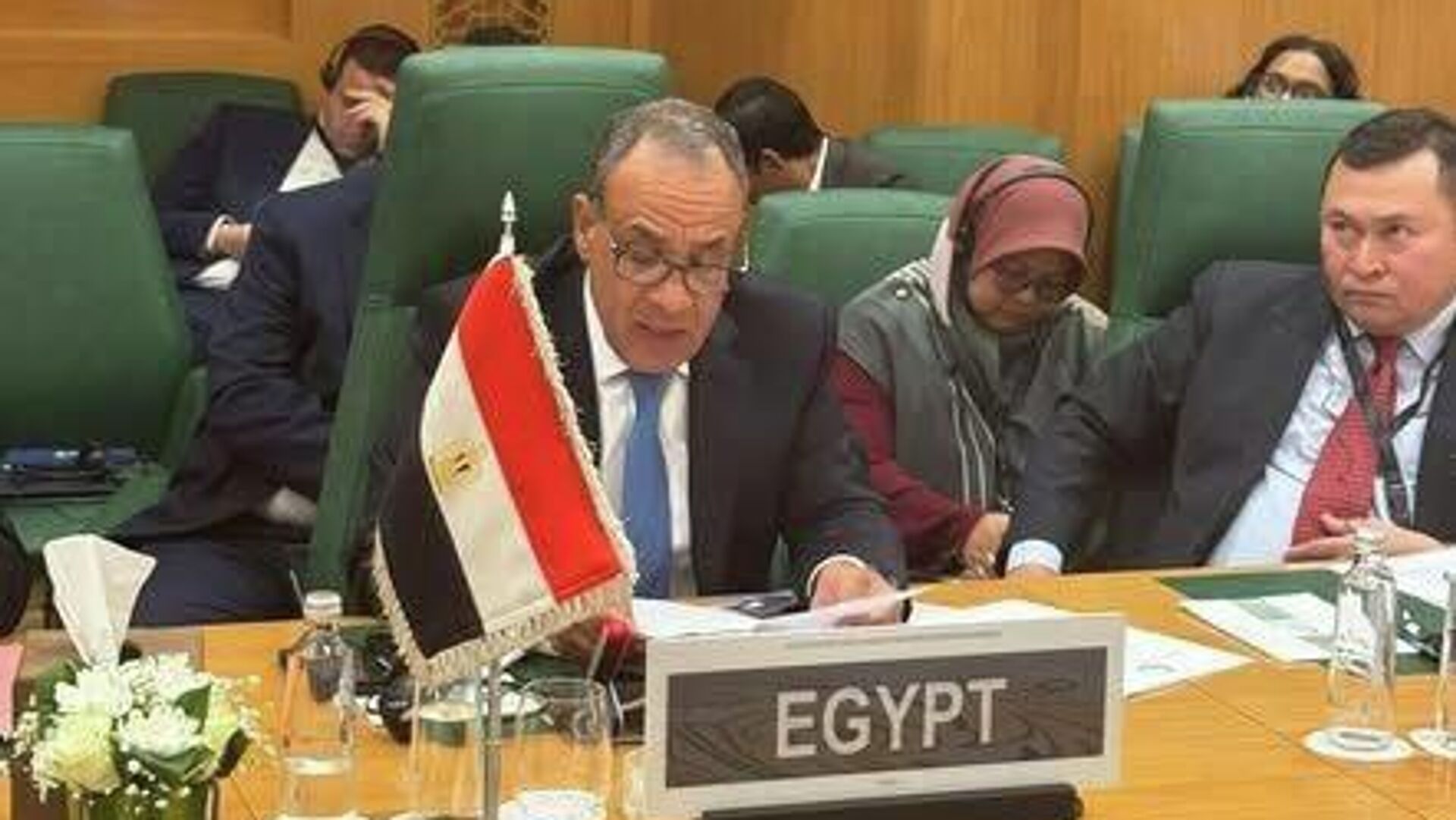 Egypt Warns Israel's 'Somaliland' Recognition Undermines Int'l Order Egypt Warns Israel's 'Somaliland' Recognition Undermines Int'l Order - Sputnik Africa, 1920, 11.01.2026