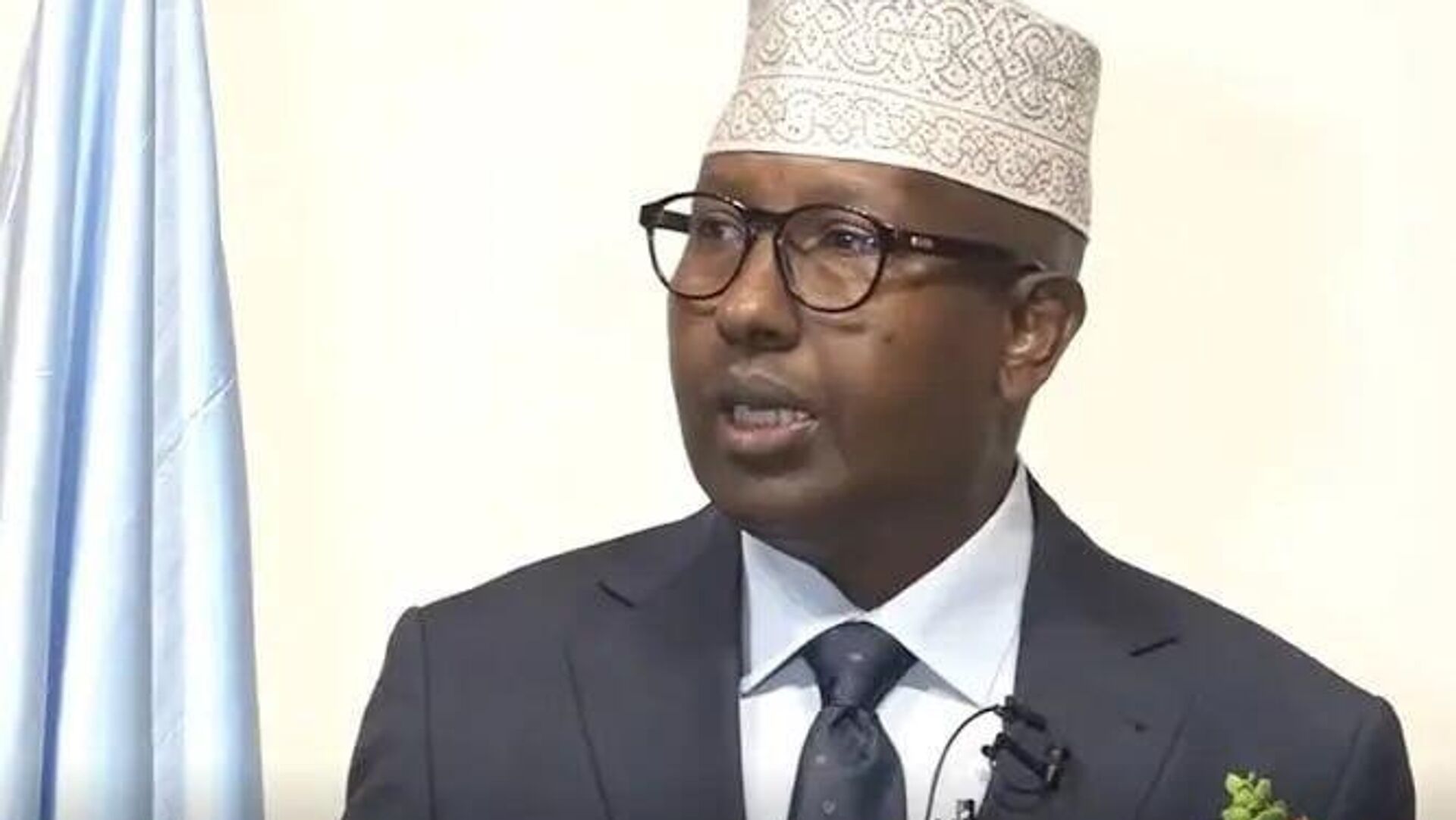 Israel Plans to Forcibly Displace Palestinians to Somaliland: Somali Defense Minister Israel Plans to Forcibly Displace Palestinians to Somaliland: Somali Defense Minister - Sputnik Africa, 1920, 11.01.2026