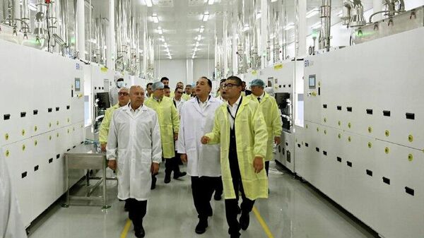 Egypt Inaugurates $116 Million Solar Energy Technology Complex - Sputnik Africa