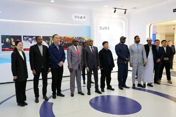 Chad Signs MoU With China to Build 200MW Solar Power Infrastructure - Sputnik Africa