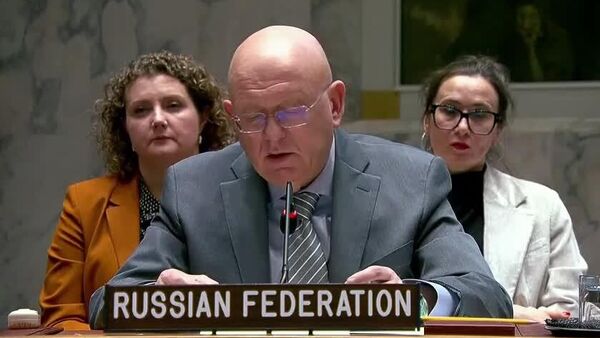 No Hostile Action by Kiev Regime 'Will Go Unanswered': Russia's UN Envoy - Sputnik Africa