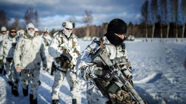 Les projets de déploiement de troupes européennes au Groenland sont du théâtre politique, selon un expert militaire - Sputnik Afrique