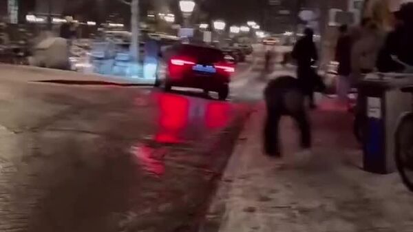 Amsterdam transformée en patinoire géante après le coup de froid - Sputnik Afrique