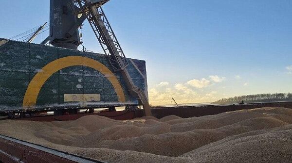 Vysotsk Port in Northwestern Russia Ships 44,000 Tonnes of Wheat to Kenya for the First Time - Sputnik Africa