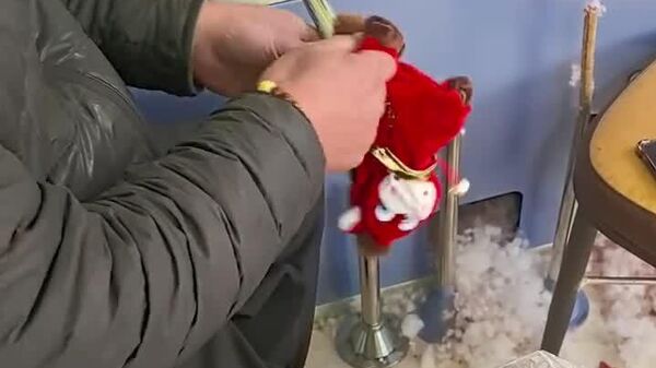 Ce cheval en peluche à l'air triste est devenu un véritable succès pour le Nouvel An en Chine - Sputnik Afrique