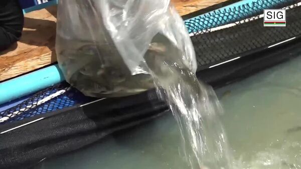 De la guerre à la pêche: le Burkina mise sur la reconversion des militaires retraités - Sputnik Afrique