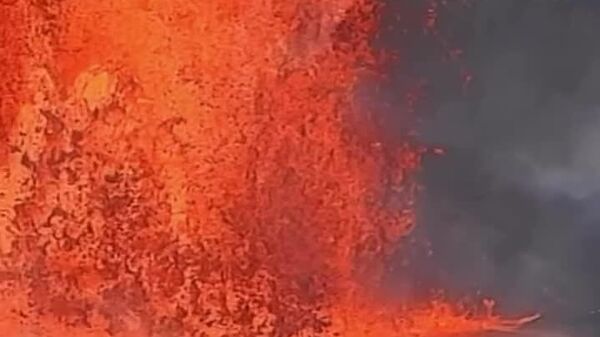 #viral | Front-Row Seats to Fire and Feathers - Sputnik Africa