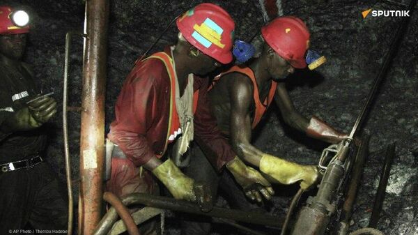 Africa Must Stop Being Merely Supplier of Raw Materials, Says Cameroonian Expert - Sputnik Africa