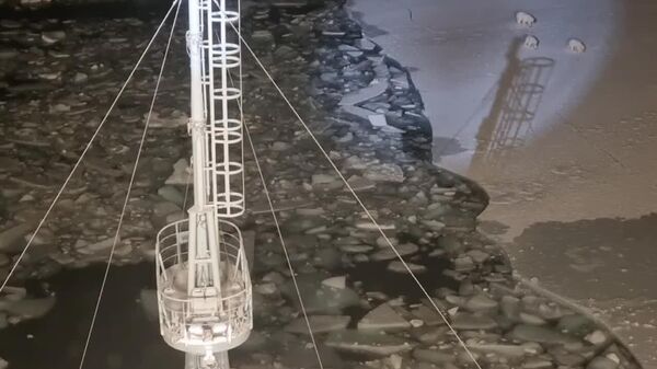 #viral | Arctic Awakening: Russian Icebreaker Surprises Polar Bear Family in Chukchi Sea - Sputnik Africa