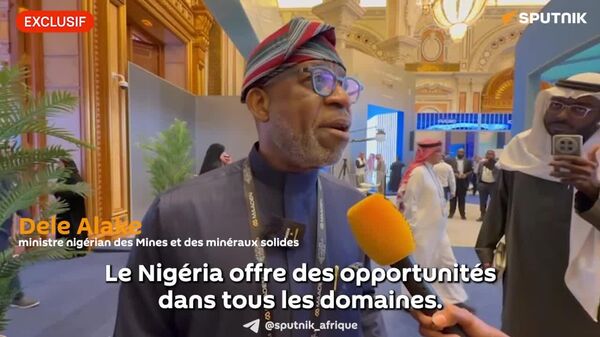 Le Nigeria invite les investisseurs russes à nouer des partenariats miniers et énergétiques, déclare un ministre - Sputnik Afrique