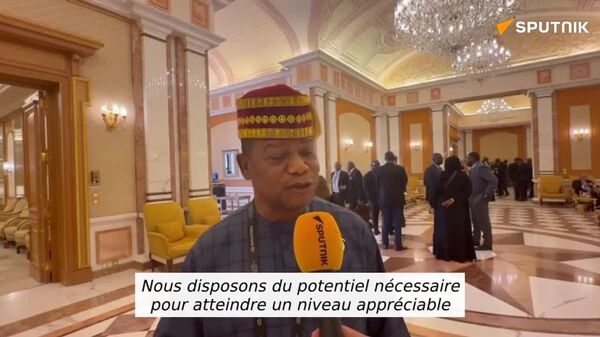 Le Libéria veut des investissements, pas un champ de bataille pour les minerais, selon un ministre - Sputnik Afrique