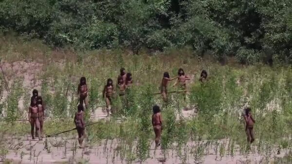 #viral | World-First Footage Offers Rare Glimpse of an Uncontacted Amazon Tribe - Sputnik Africa