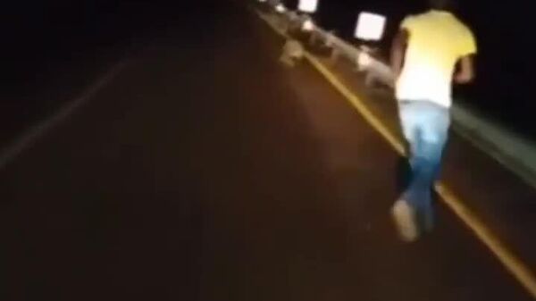 #viral | Floods Unleash Crocodile Chaos Across South Africa - Sputnik Africa