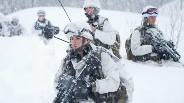 Groenland, un show Macron-Trump pour détourner les regards de l’Ukraine, selon un ex-militaire français - Sputnik Afrique