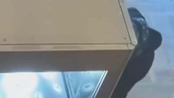 ▶ Voici à quoi ressemblait le vol au Louvre: les images de vidéosurveillance sont diffusées par la télévision française - Sputnik Afrique