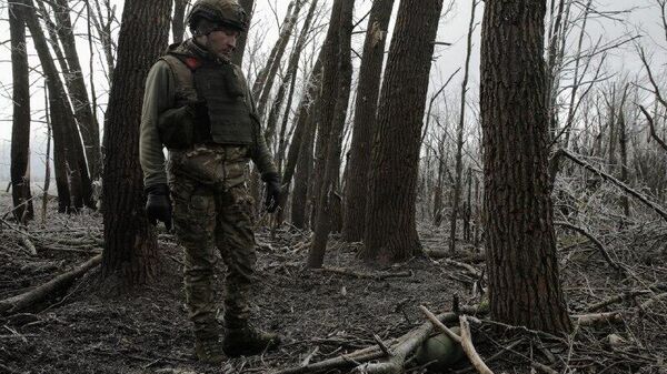 Russian Troops Liberate Two More Settlements: MoD - Sputnik Africa