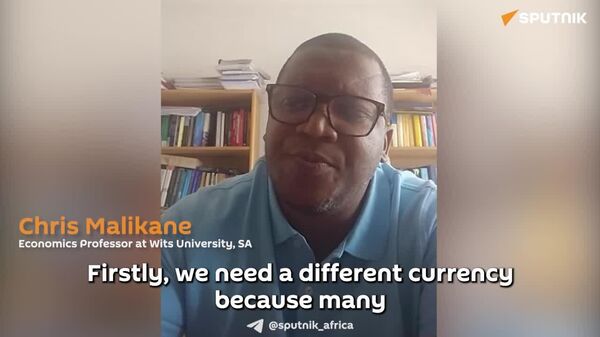 Africa's Growth Resilience Exposes the Limits of US Tariffs: SA Economics Professor - Sputnik Africa