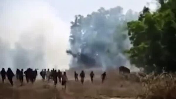 #viral | Rampaging Elephant on the Loose in India - Sputnik Africa