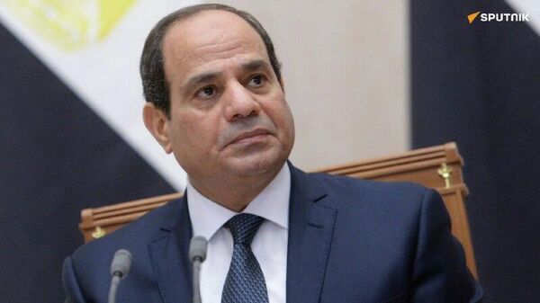 Egypt Throws Open Its Doors to Foreign Investors, Announces El-Sisi - Sputnik Africa
