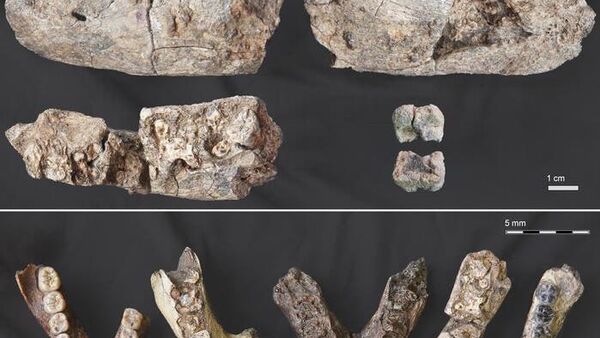 Newly Discovered 2 - Sputnik Africa