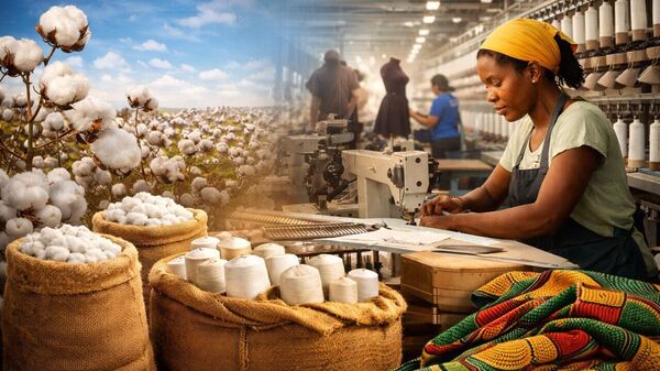 Africa's Cotton Dream: How Zimbabwe Is Stitching Jobs Back into the Continent's Fabric - Sputnik Africa