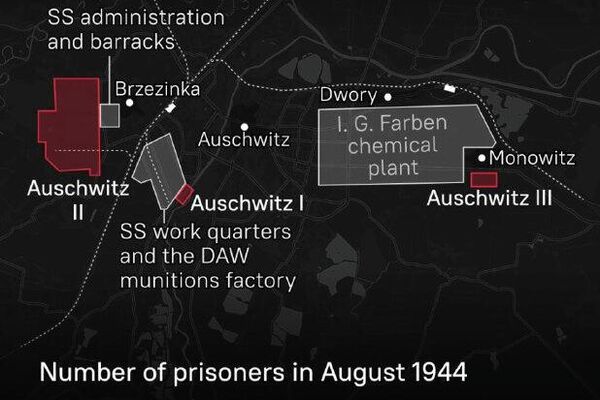 #Infographic | The World Marks 81 Years Since Soviet Forces Liberated Auschwitz - Sputnik Africa