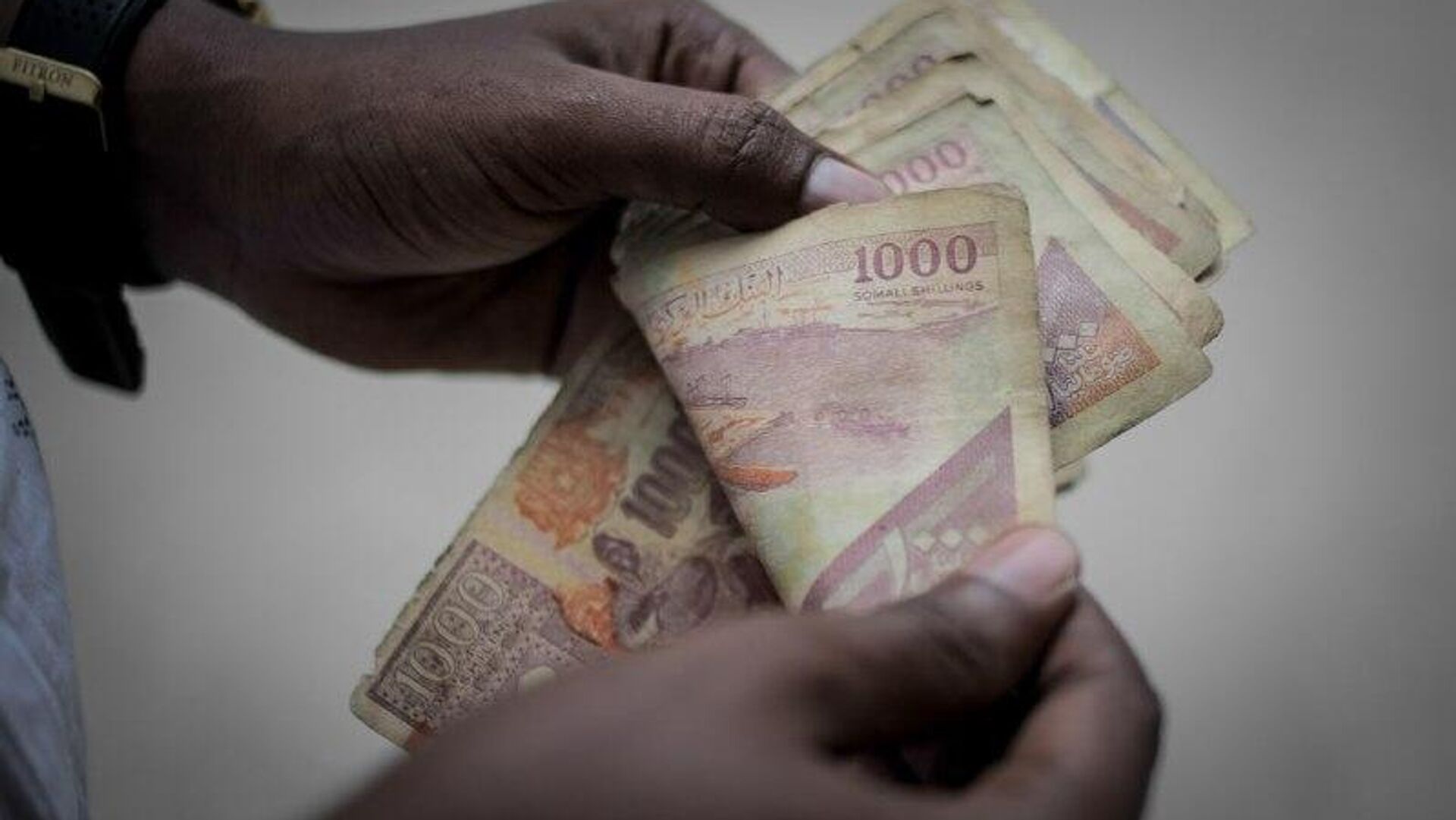 The Daily Ping – How Remittances Shape Dreams and Duties Across Africa: Report The Daily Ping – How Remittances Shape Dreams and Duties Across Africa: Report - Sputnik Africa, 1920, 24.01.2026