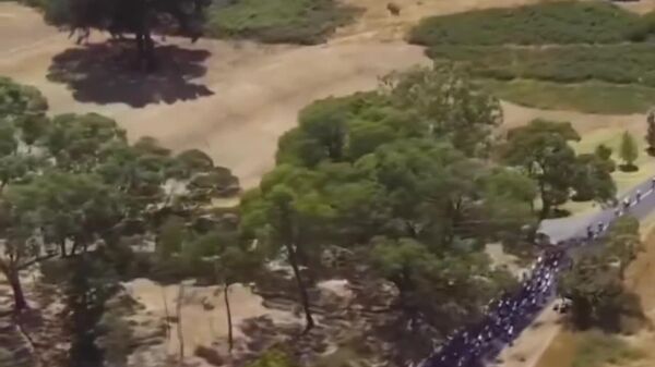 #viral | Race Leader Brought Down by [Kangaroo] in Mid-Race Crash at Tour Down Under in Australia - Sputnik Africa