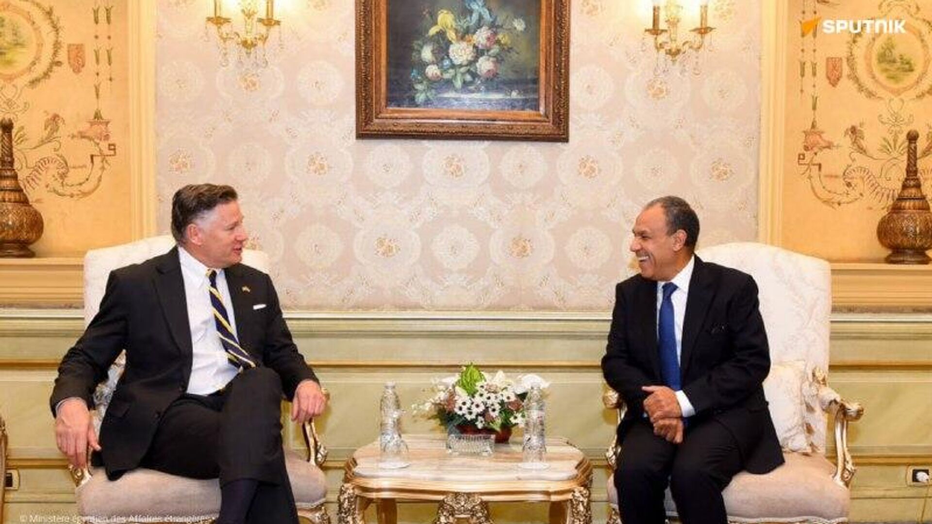 Le Caire insiste sur la nécessité de mettre en œuvre la deuxième phase du cessez-le-feu à Gaza, selon son chef de la diplomatie Le Caire insiste sur la nécessité de mettre en œuvre la deuxième phase du cessez-le-feu à Gaza, selon son chef de la diplomatie - Sputnik Afrique, 1920, 25.01.2026