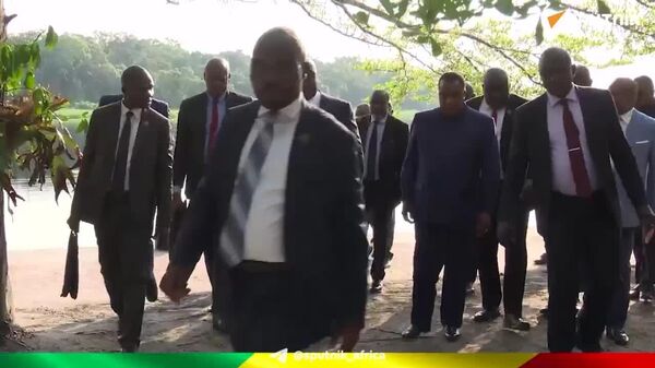 Presidents of Congo and DR Congo Discuss Resolving Conflict With M23 Rebels: Presidency - Sputnik Africa