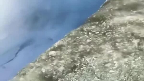 Une vague de froid intense gèle les célèbres chutes du Niagara, à la frontière américano-canadienne - Sputnik Afrique