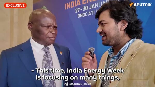 Southern African Power Pool Seen as Anchor Amid Global Turmoil: Zimbabwean Minister - Sputnik Africa