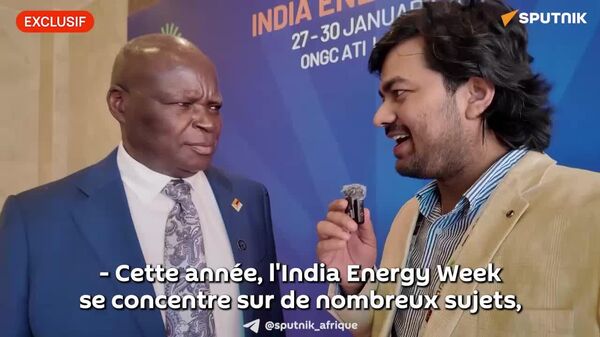 L'Afrique australe s'efforce de faire face aux turbulences mondiales en développant son secteur énergétique, selon un ministre zimbabwéen - Sputnik Afrique