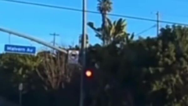 #viral | Miracle in California: One-Year-Old Survives Fall From Moving Car - Sputnik Africa