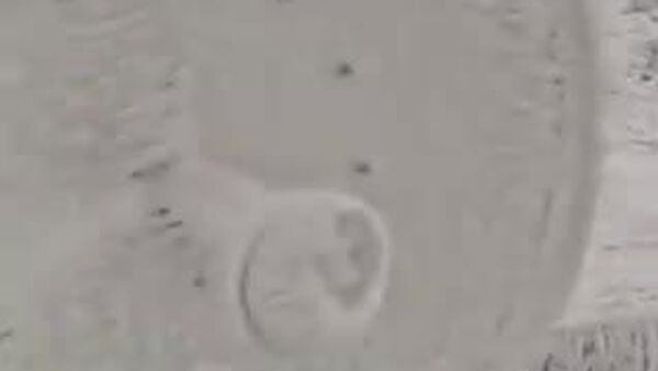 L'hiver est arrivé dans la région d'Alep, en Syrie - Sputnik Afrique