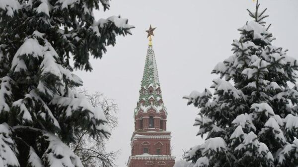 Topic of Russian Military Bases Was Included in Putin's Talks with Syria's al-Sharaa: Kremlin - Sputnik Africa