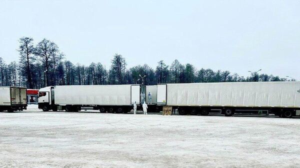 Russia has handed over the bodies of 1,000 dead Ukrainian soldiers to Ukraine, presidential aide Vladimir Medinsky announces - Sputnik Africa