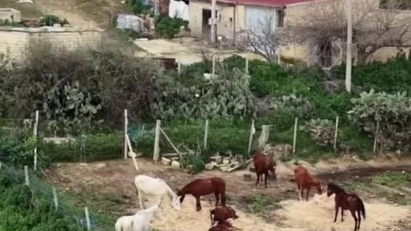 En Sicile, une colline entière s’effondre - Sputnik Afrique